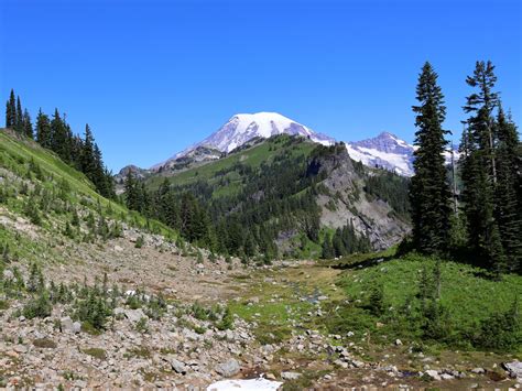 Ford Pinchot National Forest