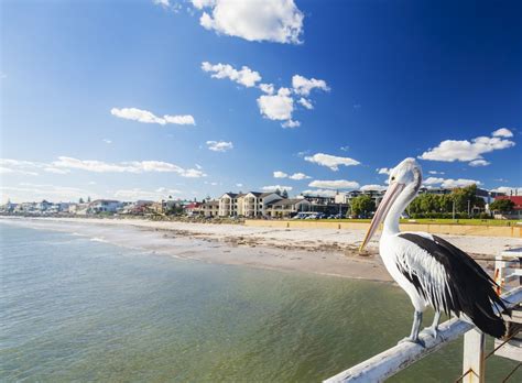 The modern german form is adelheid, famously the first name of queen adelaide, for whom many places throughout the former british empire were named. Moving To Adelaide: Pros And Cons - National Storage Australia