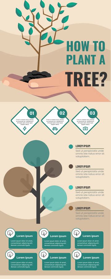 How To Plant A Tree Infographic Visual Paradigm Blog