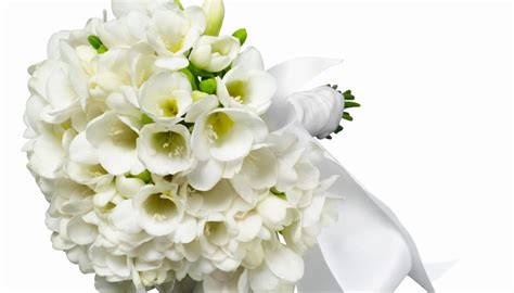We did not find results for: Flowers for Communion | Synonym