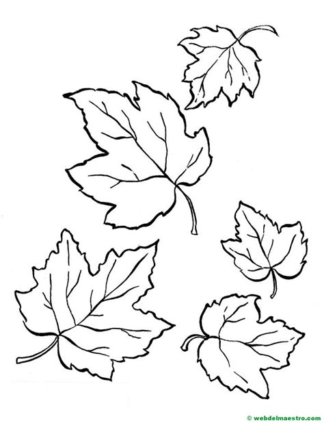 Dibujos del otoño para colorear - Web del maestro