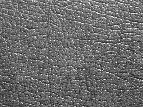 Black And White Leather Background Free Stock Photo