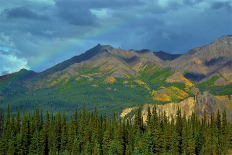 Rainbow Over Alaska Mountains In Denali National Park Flickr Photo