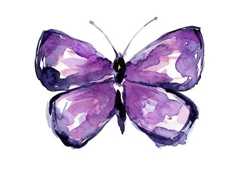Purple Butterfly Painting By Olga Shvartsur Fine Art America