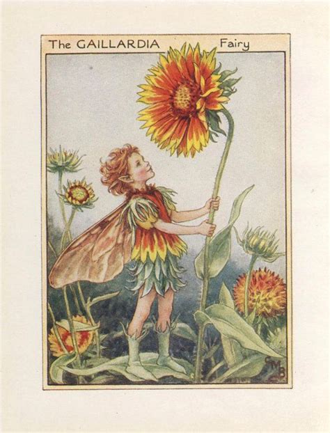 Flower Fairies The Gaillardia Fairy Vintage Print C1930 By Cicely Mary