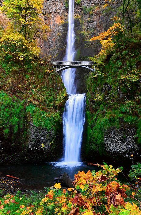 Autumn At Multnomah Falls By Athena Mckinzie In 2021 Oregon