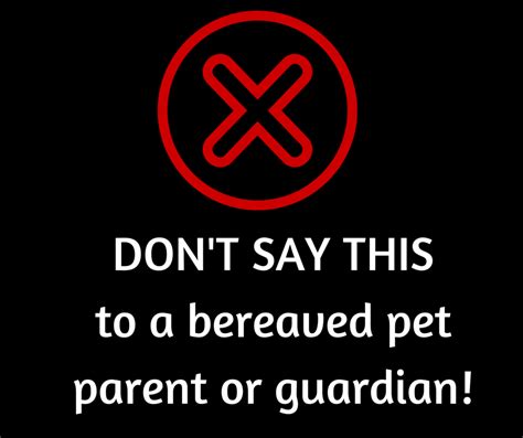 In an attempt to soften the blow, parents sometimes explain the death of a pet in vague ways or skirt the topic altogether. 3 things NOT to say to someone whose pet has died.