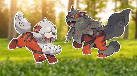How To Get Hisuian Growlithe And Evolution Hisuian Arcanine In Pokémon