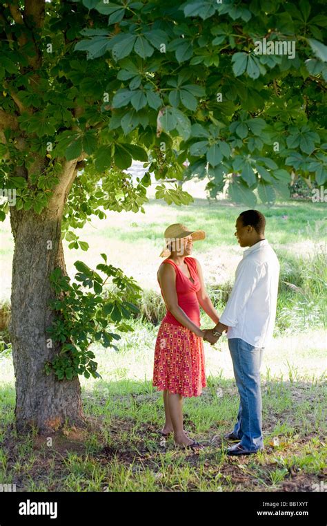 Couple Share A Romantic Moment Underneath A Tree Johannesburg Gauteng