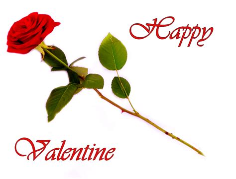See a marveous collection of 7 valentine flowers images! Valentine Clipart & free Valentines graphics