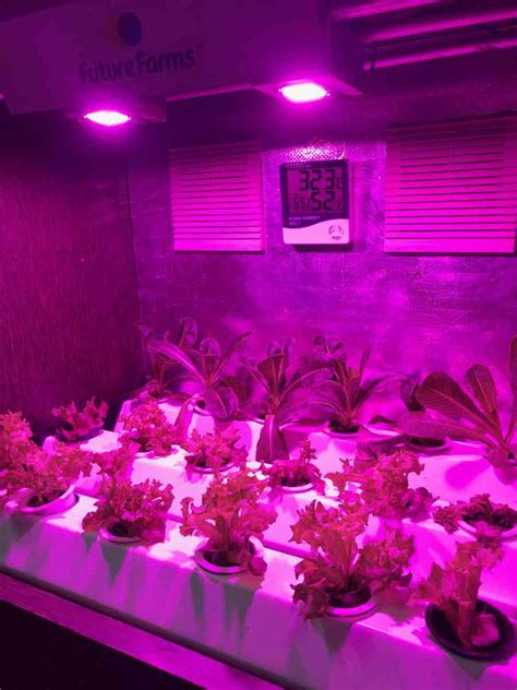 One major advantage to the led lights is the small size. Hydroponics Farming by Using LED Grow Lights