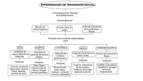 Enfermedades De Transmision Sexual Mapa Conceptual Ever Alexander Gomez