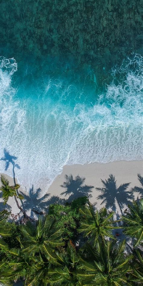 An Aerial View Of The Beach With Palm Trees And Blue Water In The