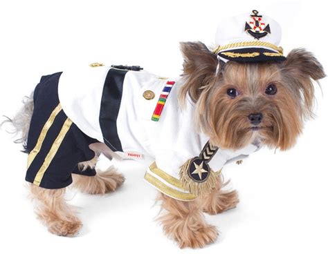Admiral Deluxe Yachting Dogs Costume With Hat Daiseys Doggie Chic