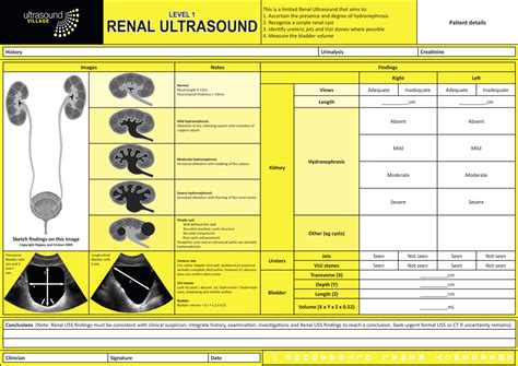 Renal Artery Ultrasound Worksheet