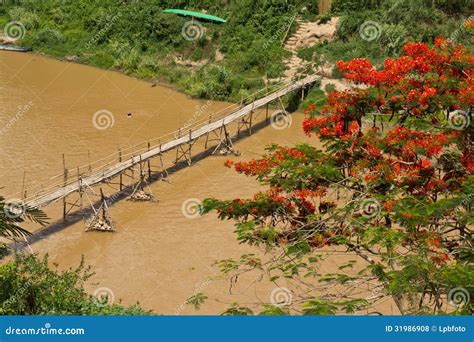 Bamboo Bridge Across A River Stock Photo Image Of Bamboo Mountain