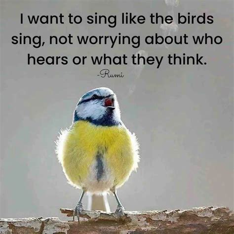 Beautiful Quotes About Birds Quote Cc