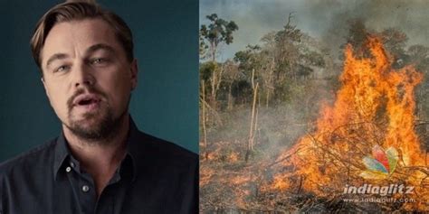 Salute Leonardo Dicaprio Donates Huge Amount To Fight Amazon Rainforest Fire Tamil News