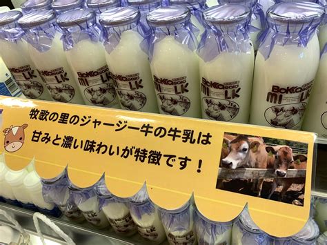 ひるがの高原 牧歌の里【公式】 On Twitter 牧歌の里オリジナル「ジャージー牛乳」🥛🐂🥛販売中😋 毎週金曜日入荷です！ 牧歌の里 ジャージー牛乳