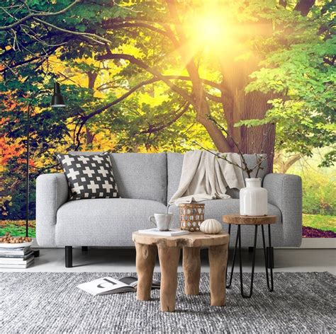 Sunbeam Through The Trees Wall Mural Bright Forest Sunlight Etsy