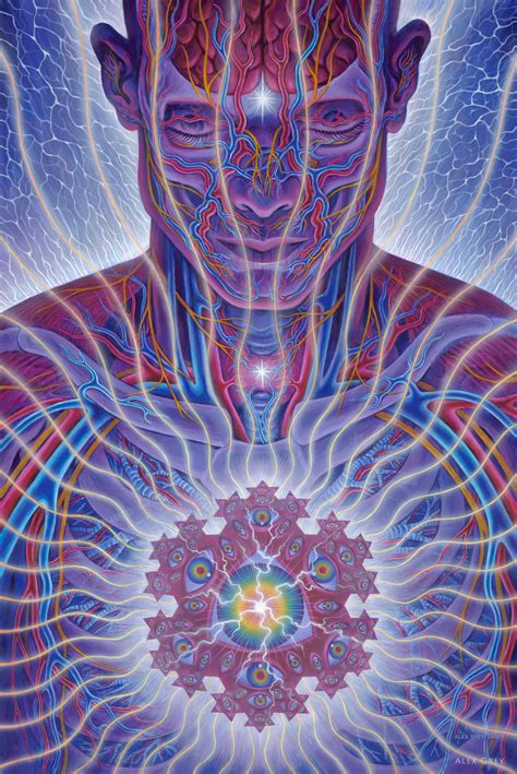 Dissectional Art For Tools Lateralus Cd By Alex Grey