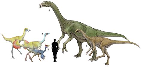 1ornithomimus Velox 2struthiosaurus Altus 3pelecanimimus Polydon 4