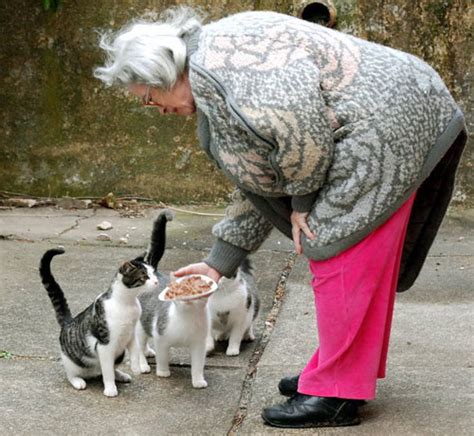 Cats aren't so different from people when it comes to diabetes. It is unrealistic to ask people to stop feeding feral cats