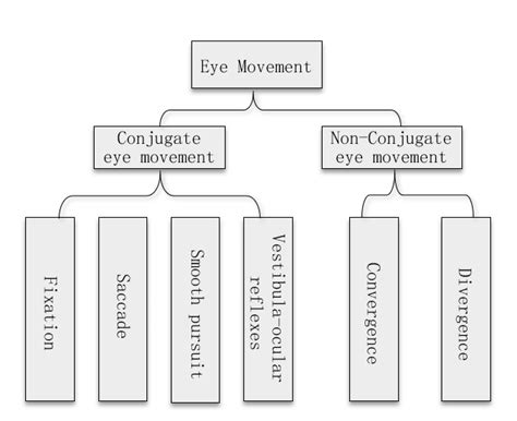 Eye Movement Classification Diagram Download Scientific Diagram