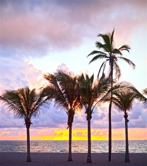Miami Beach Florida Colorful Summer Sunrise Or Sunset With Palm Trees