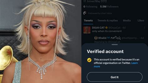 Doja Cat Achieves The Label Of Verified Official Organization On