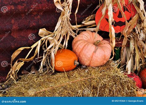 Pumpkins On Hay Bales With Corn Stalks At Harvest Stock Photo Image