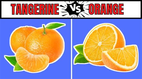 Tangerine Vs Oranges Key Differences And Similarities Youtube