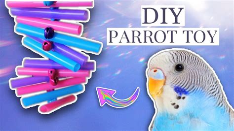 How To Make Budgie Toys Diy Under 5 Youtube