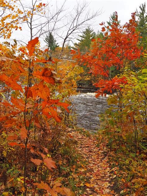The 7 Best Places To See Fall Colors In Minnesota