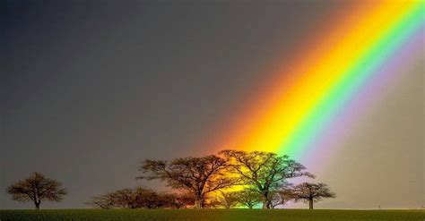 Rainbow Christian Majcen Pics
