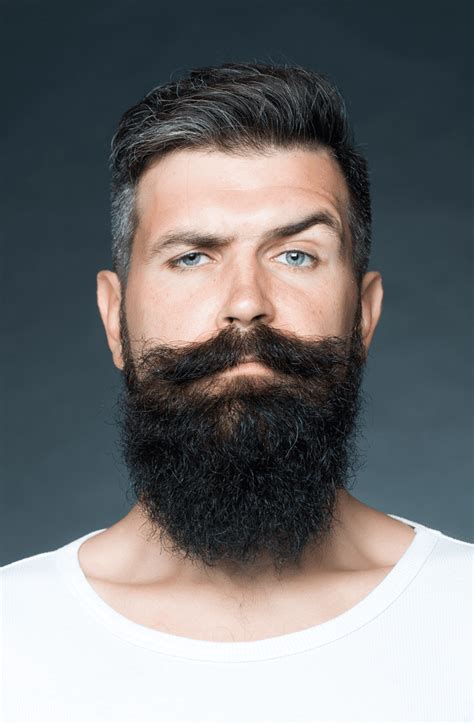 How To Grow And Maintain A Long Beard Gillette Uk