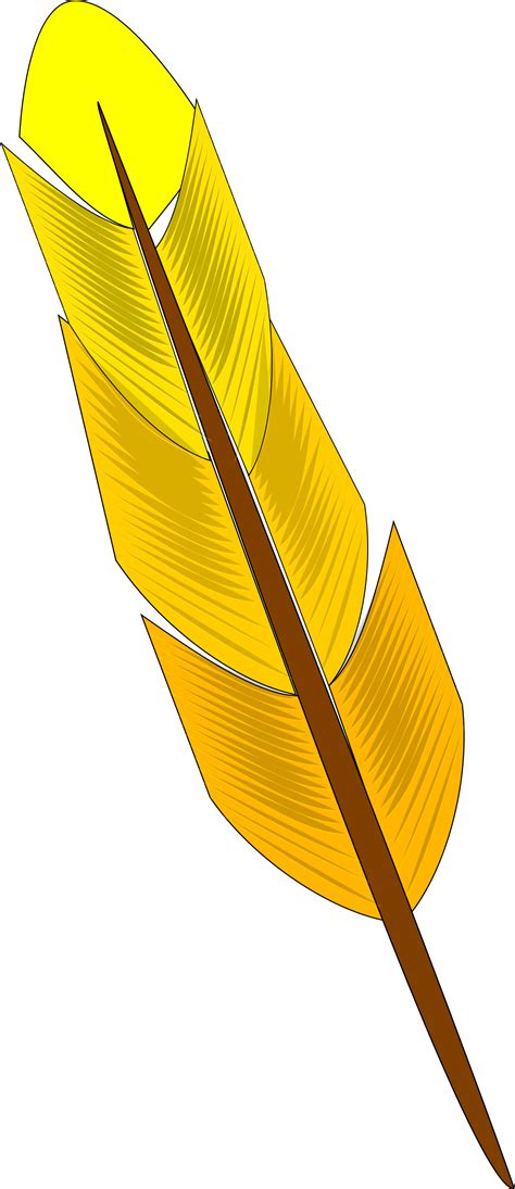 Feather clipart yellow feather, Feather yellow feather ...