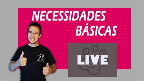 Necessidades Básicas Live YouTube