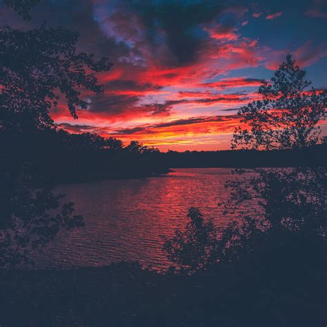 Red Evening Sunset Lake View From Forest Woods Ipad Pro Wallpapers Free