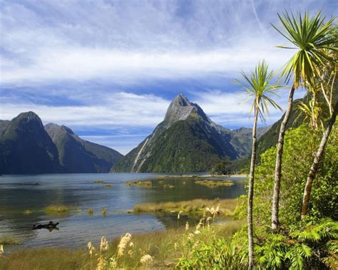 Sunrise Milford Sound Queenstown New Zealand Hd Wallpapers 1920x1080