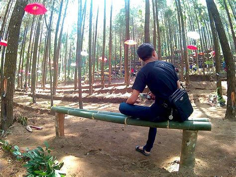 Maybe you would like to learn more about one of these? Hutan Pinus Semeru, Wisata Baru di Malang untuk Nikmati ...