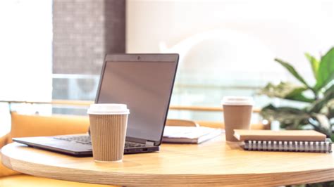 How to use Zoom virtual backgrounds | Canva - Learn Funny zoom backgrounds that will have you laughing.