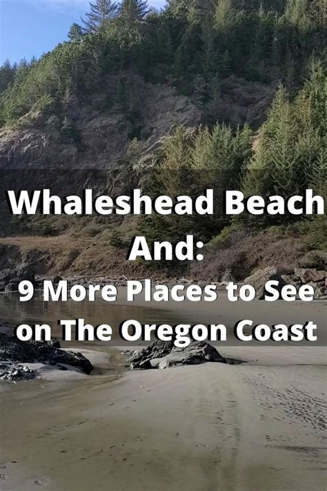 Whaleshead Beach And 9 More Epic Oregon Coast Spots To See Video Oregon Coast West Coast