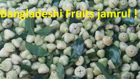 Amazing Fruits Of Bangladesh L Summer Fruits Jamrul Youtube