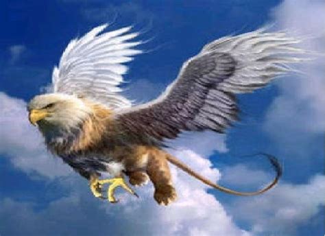 The Griffin King Of All Creatures Smite