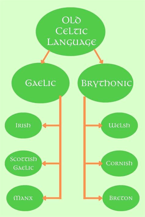 Les Langues Celtiques Grain Of Sound