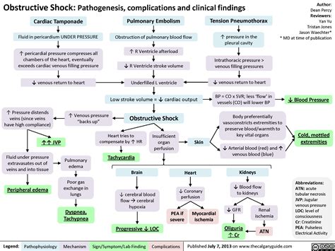Obstructive Shock Calgary Guide