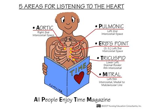 Listening To The Heart Cardiac Assessment Nursing Mnemonics Nurse