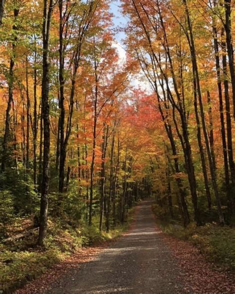 Best Scenic Fall Drives In Michigan For Stunning Color And Views