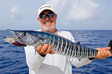 Wahoo Fishing In Key West Florida Sportsman